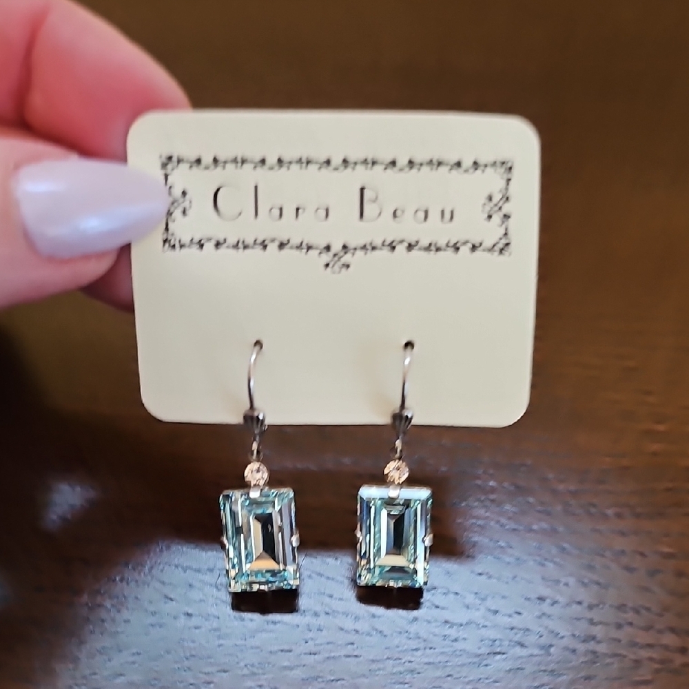 Silver and Blue Earrings